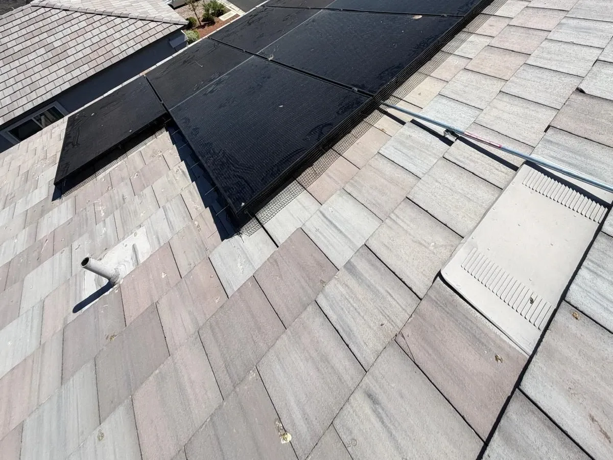 After — Roof section cleaned after the birds were removed