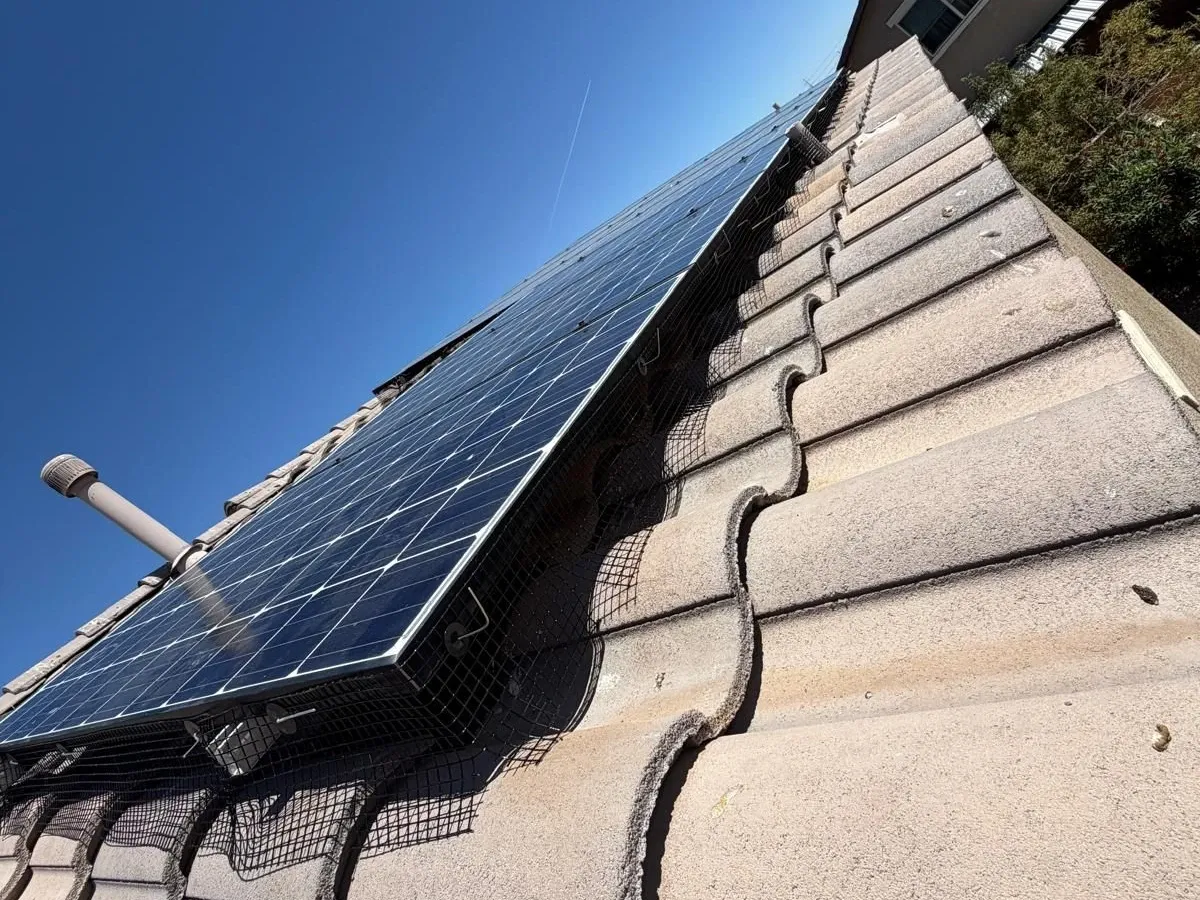 Bird mesh running the full length of a solar panel edge