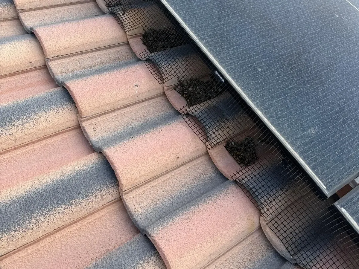 Close-up of galvanized mesh closing the gap between panel and roof tiles