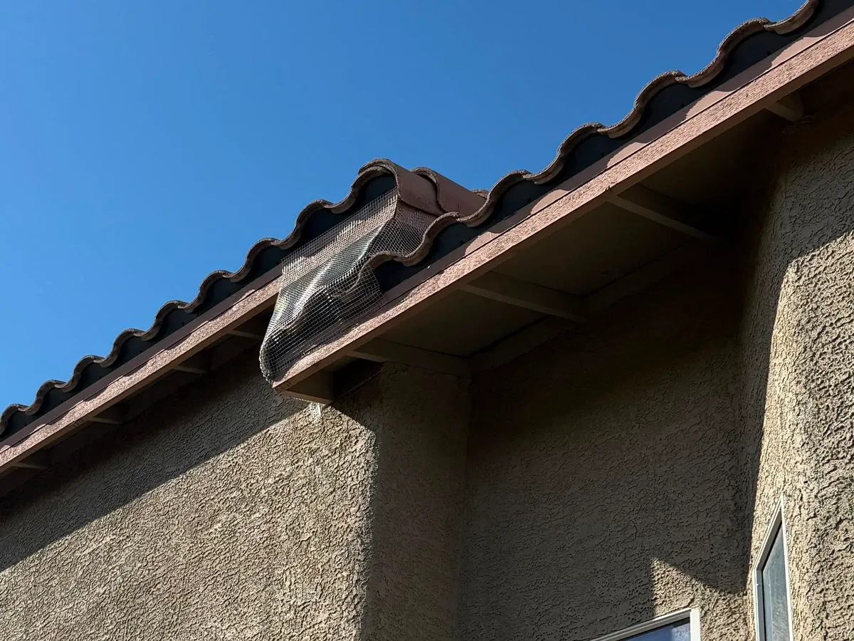 Galvanized mesh closing the open tile ends along a roof eave, no solar panels present