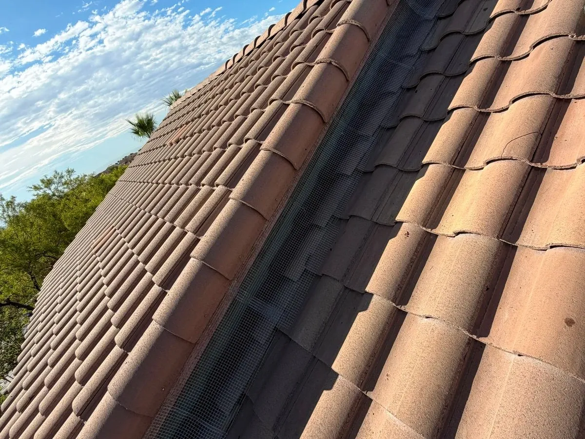 Bird mesh running the length of a tile roof valley on a Las Vegas home