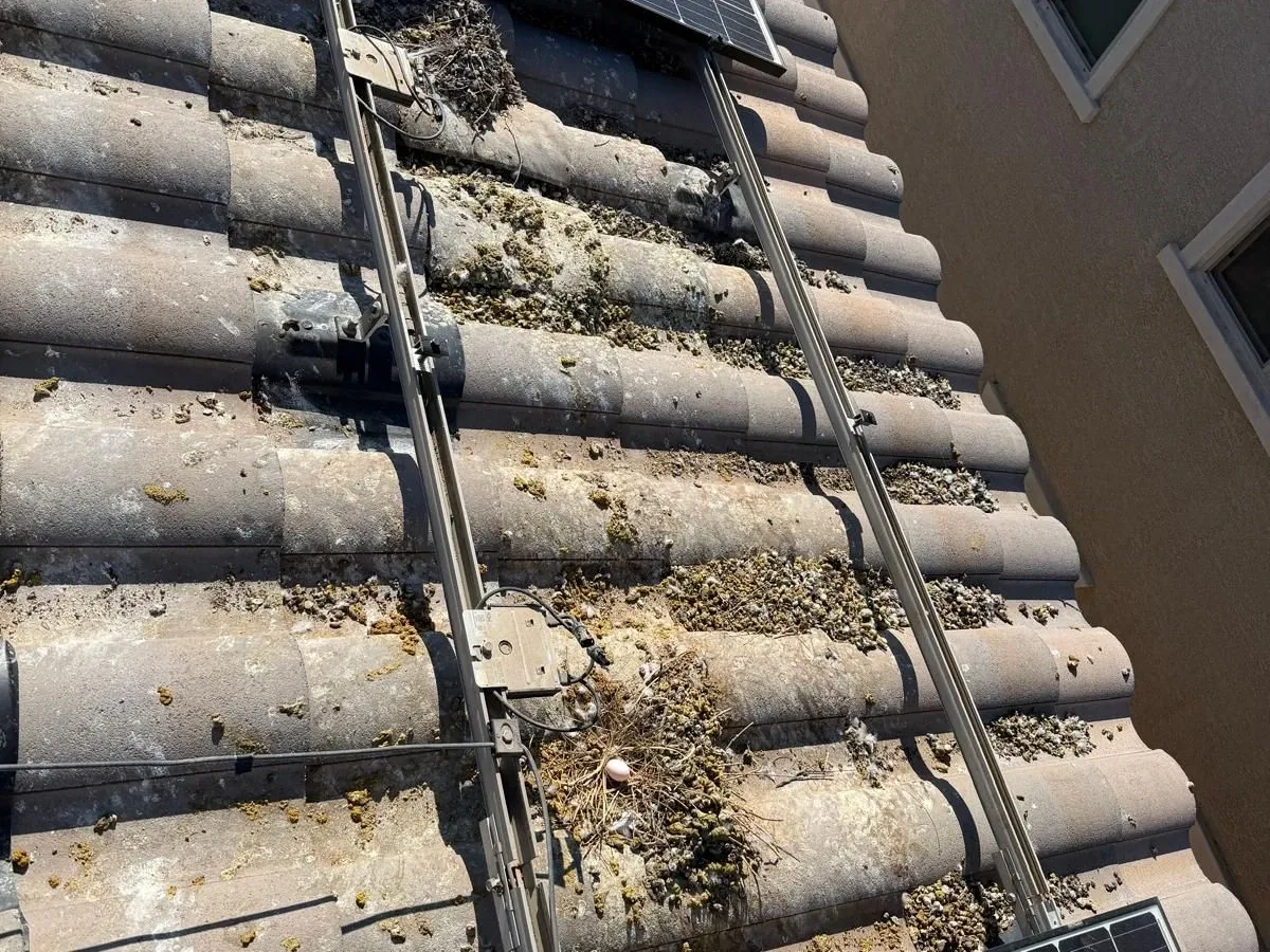 Before — Nesting material cleared along the mounting rails